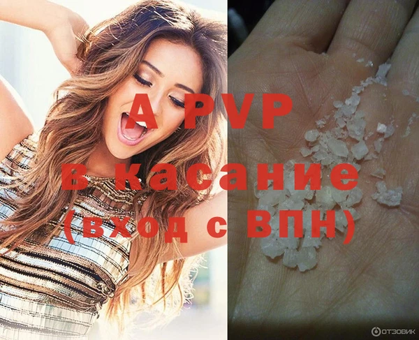 не бодяженный Богданович