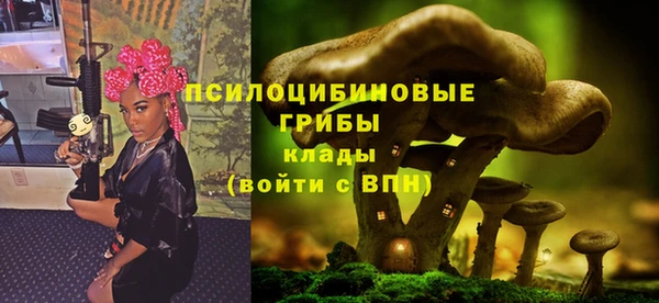 экстази Богородицк