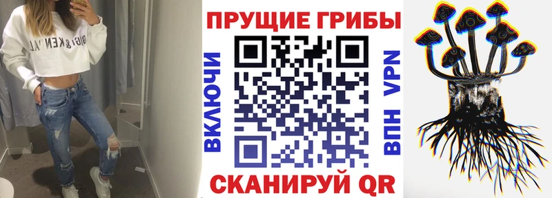 цена   Воркута  Псилоцибиновые грибы мухоморы 