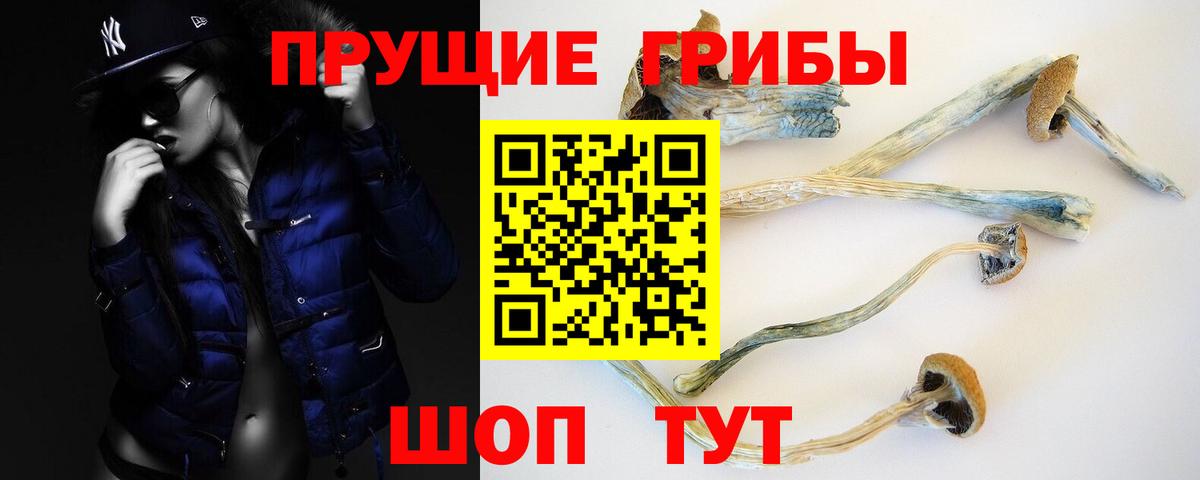 Псилоцибиновые грибы мухоморы Воркута